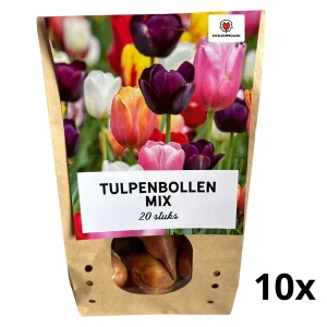 200 stuks Tulpenmix - 20 Bloembollen in 10 Zakjes - Kleurrijke Voorjaarsbloei