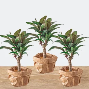 3 Stuks Mini-palm
