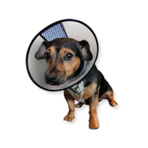 AA Easyfix-Collar