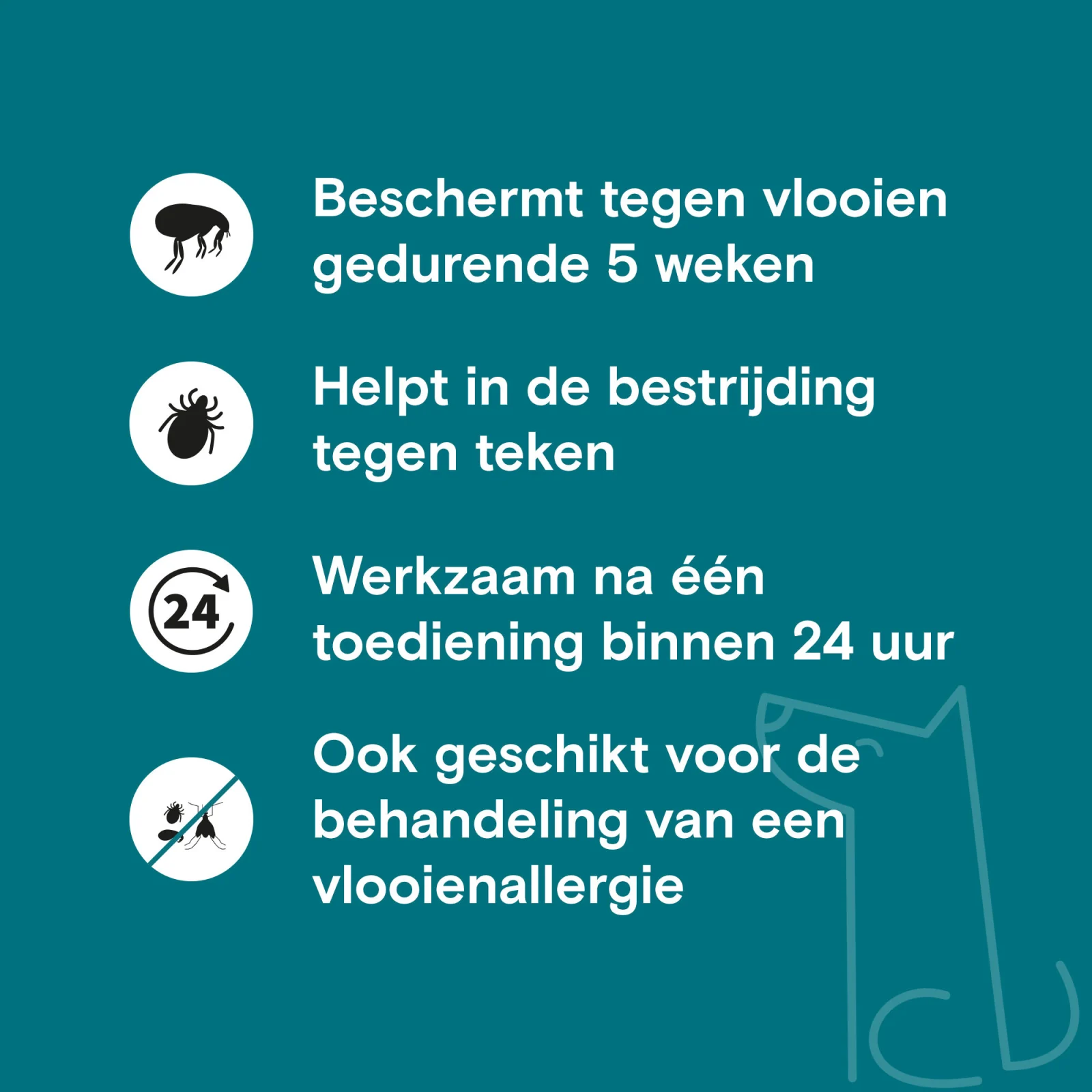Adimere Vlooien en Teken - Kat - Image 2