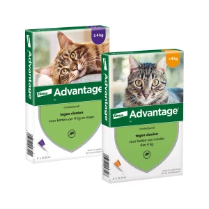 Advantage Kat