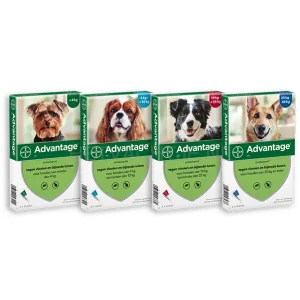 ADVANTAGE - Spot-On 4 Pipet Anti-Vlo Middel voor honden.