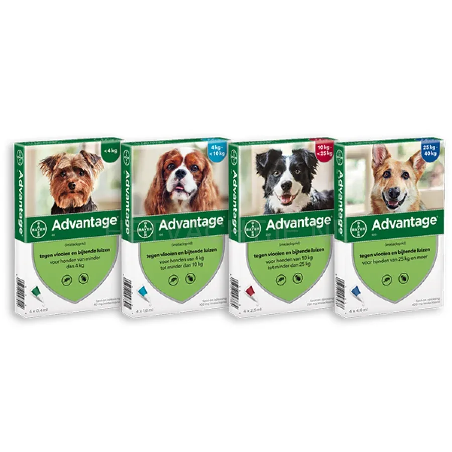 ADVANTAGE - Spot-On 4 Pipet Anti-Vlo Middel voor honden.