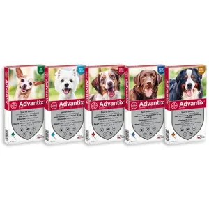 ADVANTIX - Spot-On 4 Pipet Anti Vlo & Teek Middel voor honden