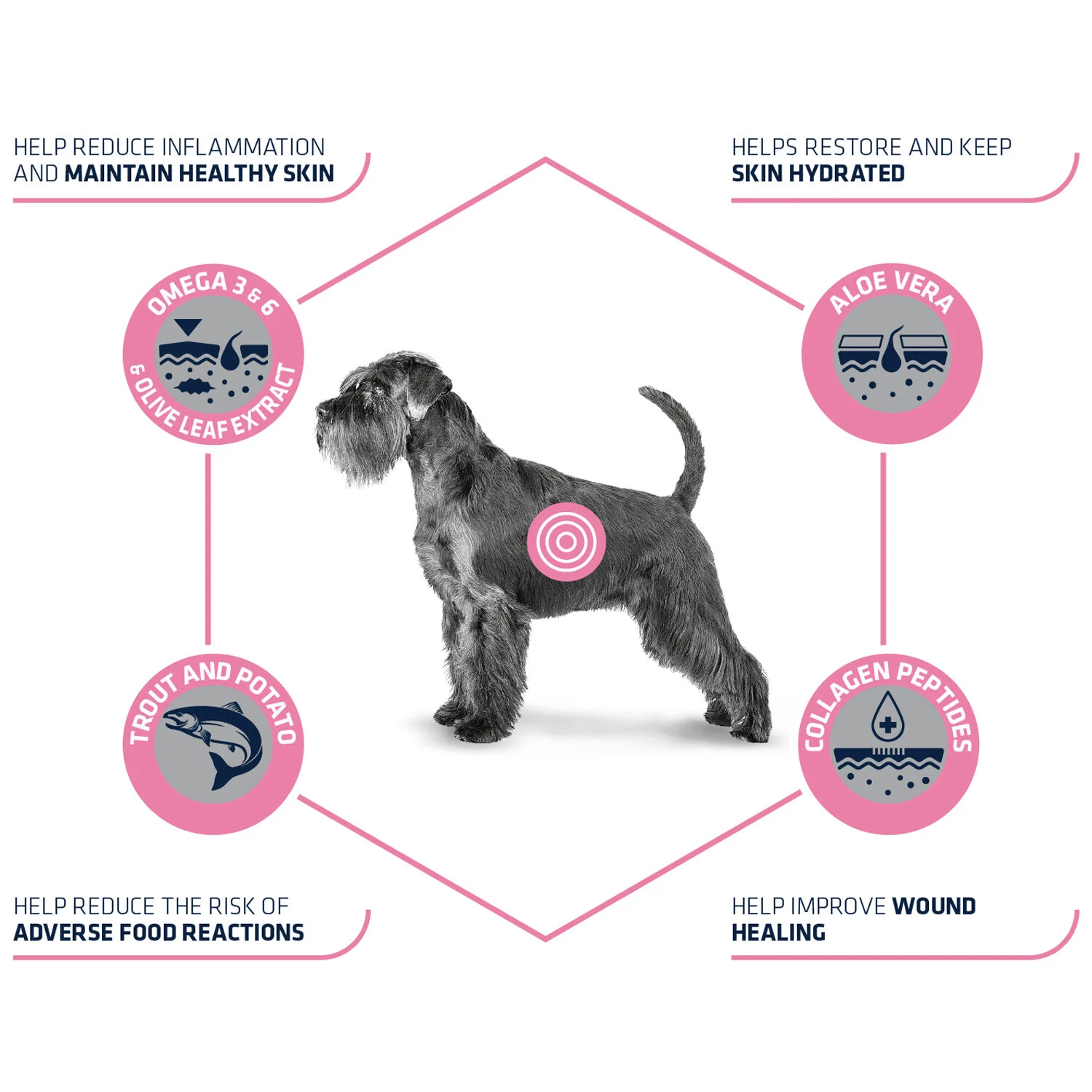 Affinity Advance Veterinary Diets Atopic Hond - Image 2