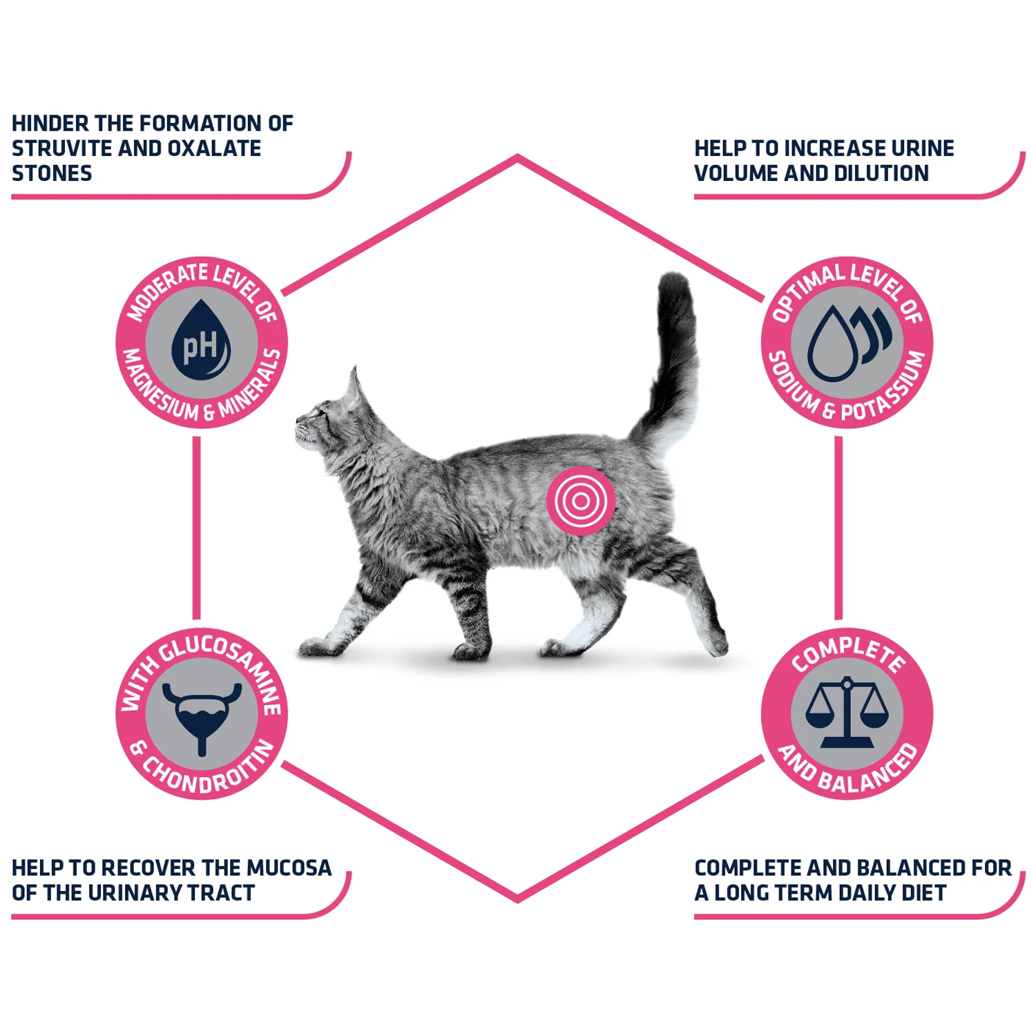 Affinity Advance Veterinary Diets Urinary Kat - Image 2