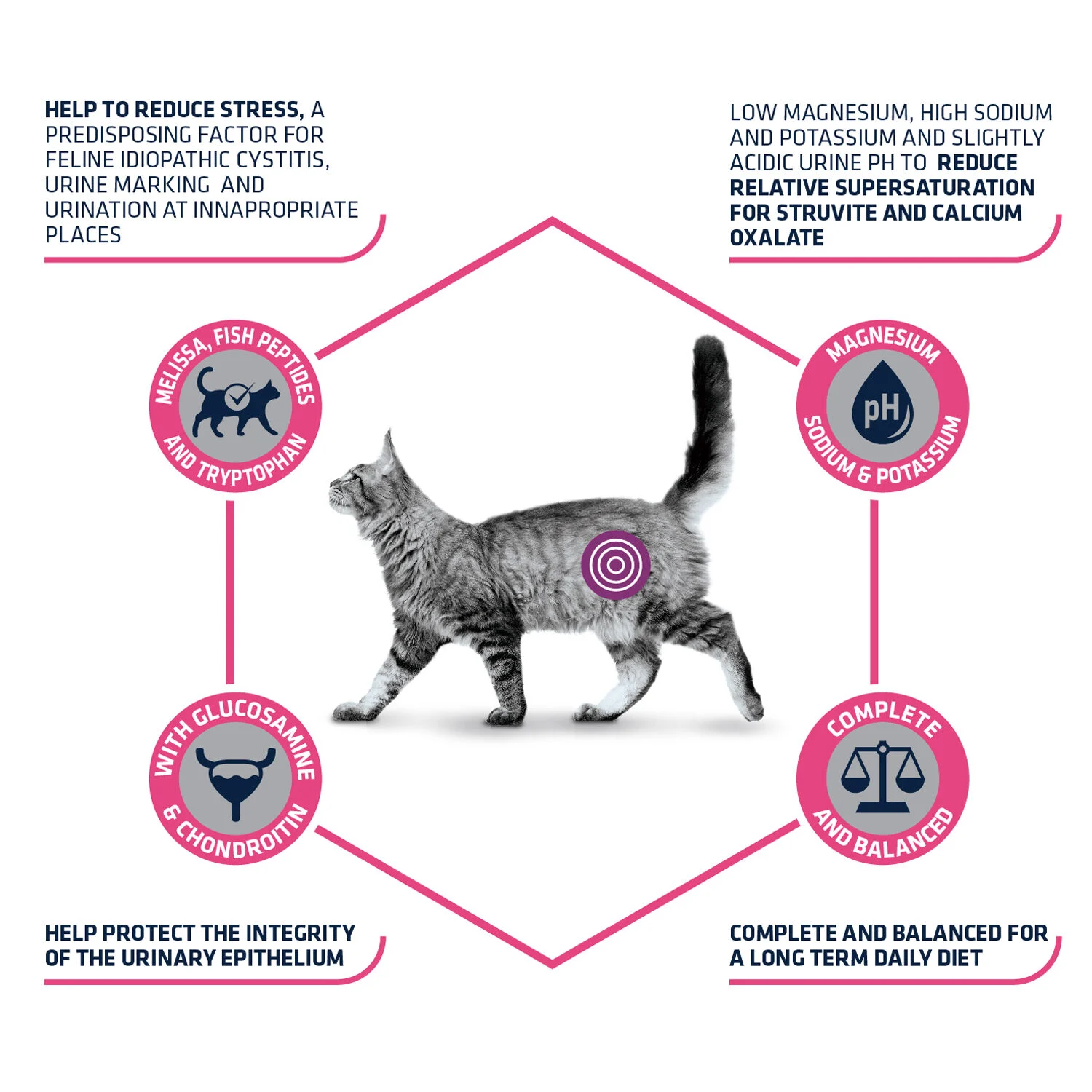 Affinity Advance Veterinary Diets Urinary Stress Kat - Image 2