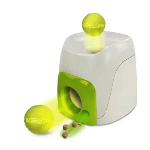 Afp Interactive Fetch N Treat