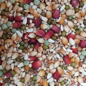 AIDI Mix 2 (vliegmengeling)