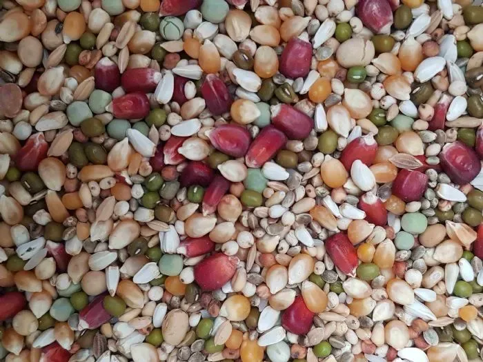 AIDI Mix 2 (vliegmengeling)