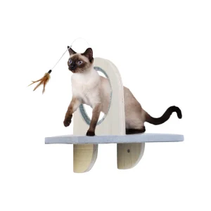 All For Paws Skywalk Groom and Play Platform
