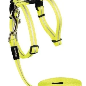 AlleyCat Tuig+Lijn Small (4 kleuren)