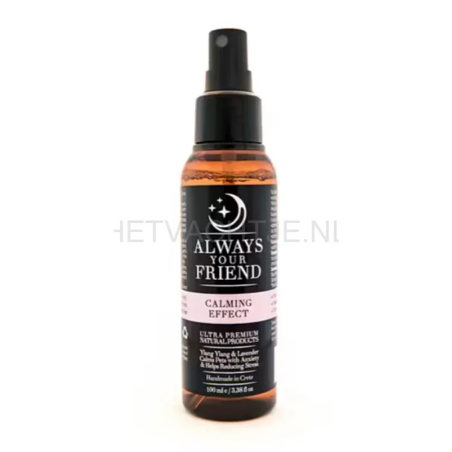 ALWAYS YOUR FRIEND - Calming Effect Pillow Stress-free Lotion