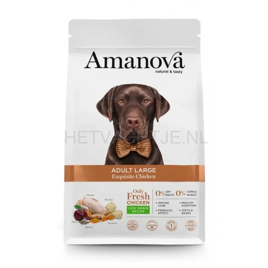 AMANOVA - Adult Large - Exquisite Chicken