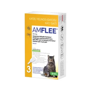 Amflee Spot