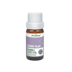 AniForte Bachbloesem Cherry Plum