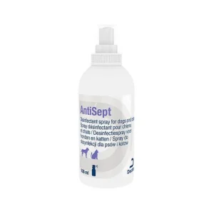 AntiSept Desinfectiespray