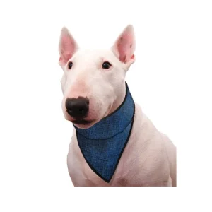 Aqua Coolkeeper Bandana