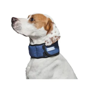 Aqua Coolkeeper Halsband