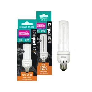 Arcadia Desert Compact Lamp