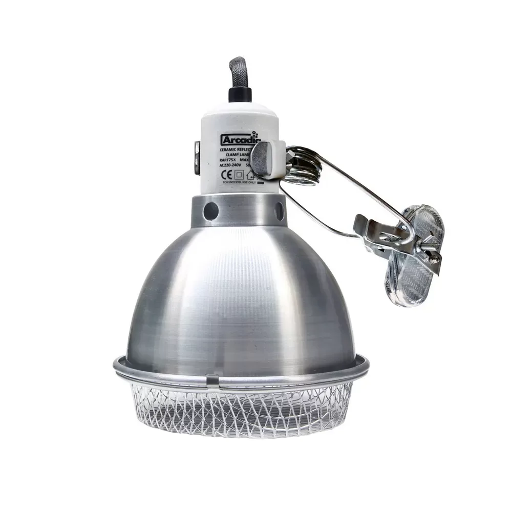 Arcadia Reflector met Klem E27 RVS - Image 2