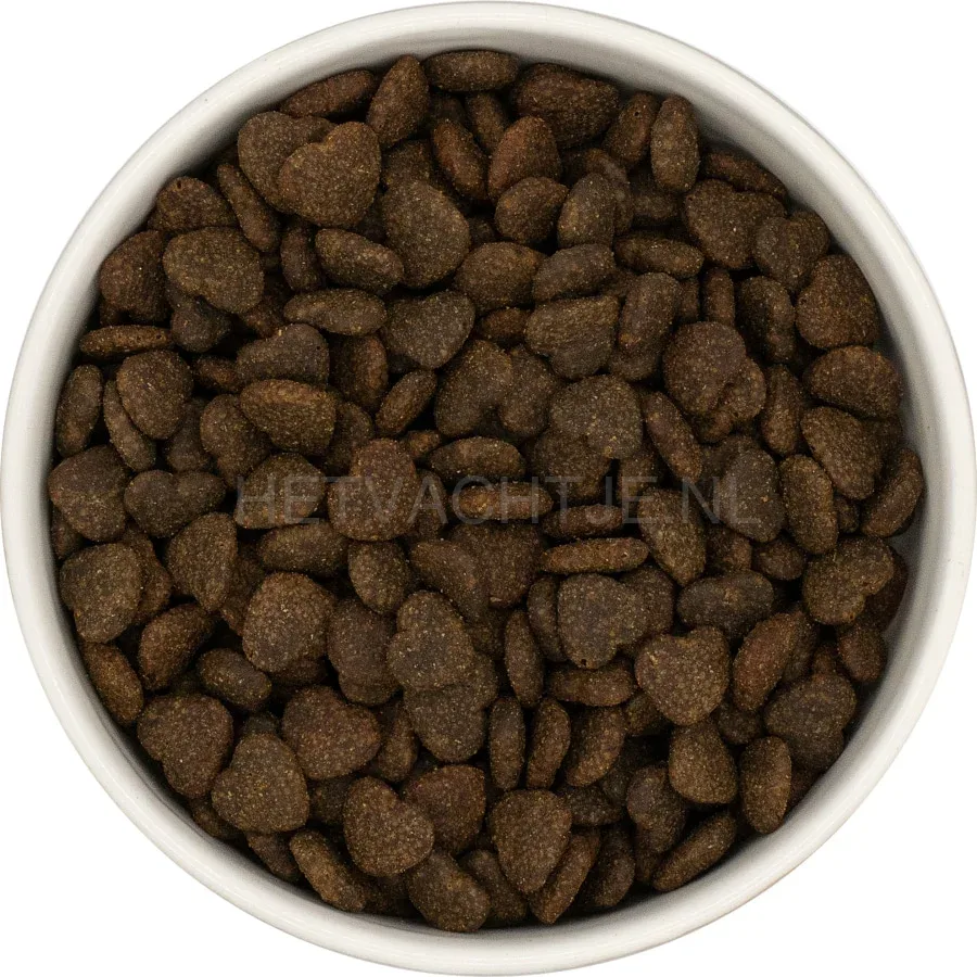 ARNI Veterinary - Skin en Coat Care - Image 2