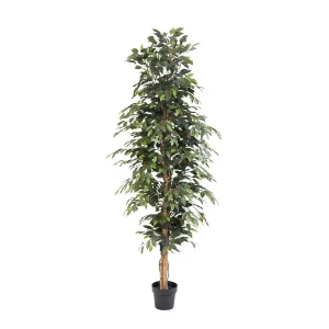 ARTIFICIAL Ficus Benjamina