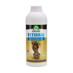Audevard Vetidral | Paard