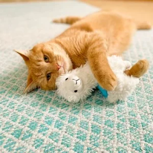 Aumüller kattenspeelkussen Lama Luigi