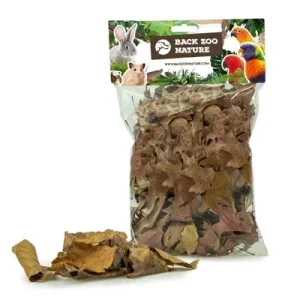 Back Zoo Nature Discovery Leaves - 50 gram