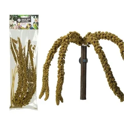 Back Zoo Nature Franse Trosgierst - 150 gr - Image 2