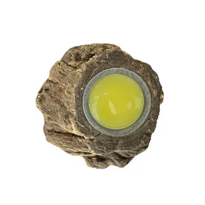 Back Zoo Nature Fruitcup Houder Bark Look - Assorti - Image 2