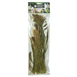 Back Zoo Nature Millet Panicum - 40 gr