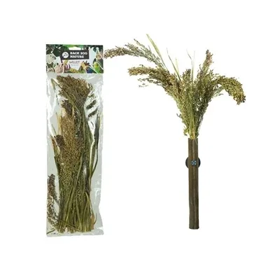 Back Zoo Nature Millet Panicum - 40 gr - Image 2