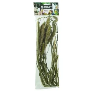 Back Zoo Nature Millet Setaria - 30 gr
