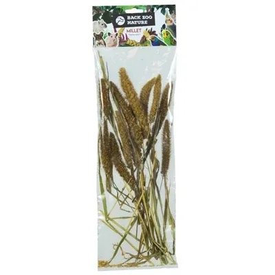 Back Zoo Nature Millet Setaria Italica - 50 gr