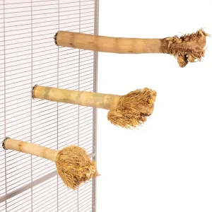 Bamboo Zitstok met wortelkop