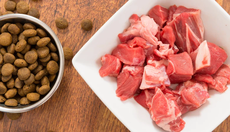 BARF-voeding voor honden: wat is het en waar moet je op letten?