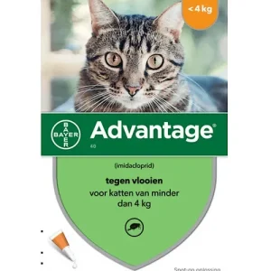 Bayer Advantage 40 Kat (preventief en curatief tegen vlooien)