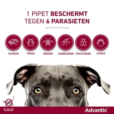 Bayer Elanco Advantix Spot On 600 3000 40 kg 4 Pip - 40 kg - Image 2