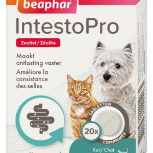 Beaphar IntestoPro Kat - Hond tot 20kg - Verlicht darmproblemen - 20 Stuks - S