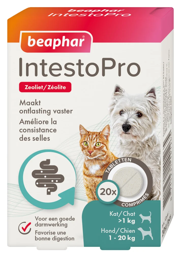 Beaphar IntestoPro Kat - Hond tot 20kg - Verlicht darmproblemen - 20 Stuks - S