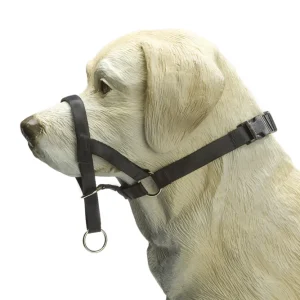 Beeztees Dog Control - Correctiehalsband Hond