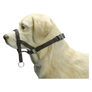 Beeztees Dog Control Halsband Hond Zwart L