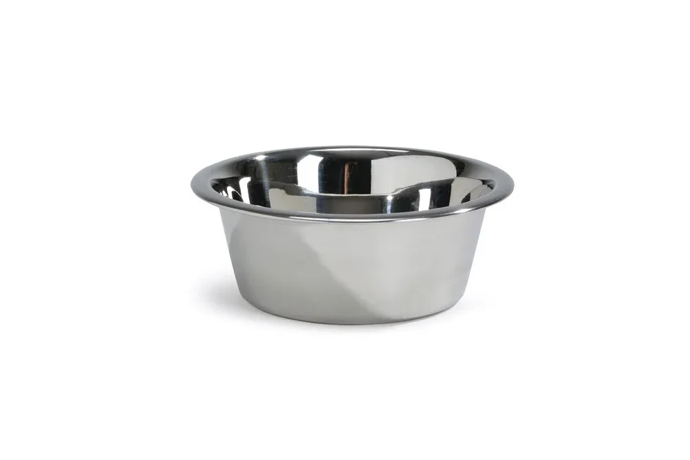 Beeztees Economic 461 - Voerbak - Zilver - 13 cm
