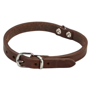 Beeztees Halsband Hond Leer Bruin 27-33 cm x 12 mm
