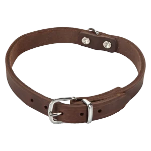 Beeztees Halsband Hond Leer Bruin 32-37 cm x 16 mm