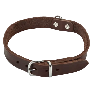 Beeztees Halsband Hond Leer Bruin 35.5-41.5 cm x 18 mm