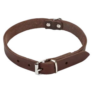 Beeztees Halsband Hond Leer Bruin 37.5-46.5 cm x 20 mm