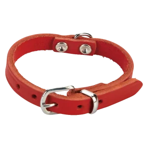 Beeztees Halsband Hond Leer Rood 17.5-22.5 cmx10 mm